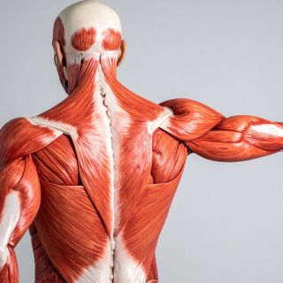 Prévention à long terme